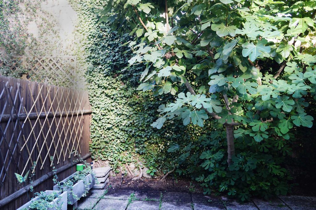 La Maisonette Et Son Jardin Βενετία Εξωτερικό φωτογραφία